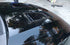 Cobra hood vents